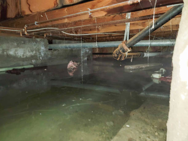Best Water damage cleanup near me  in Gates Mills, OH