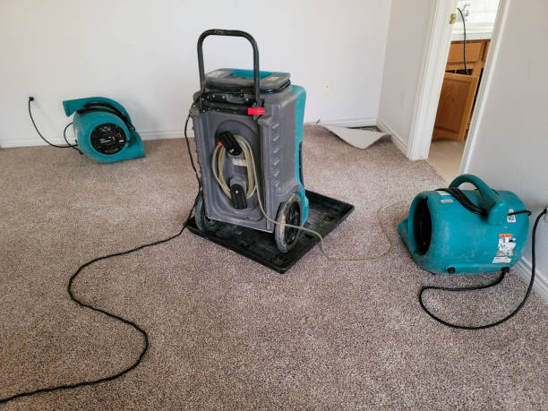 Best Ceiling water damage repair  in Gates Mills, OH