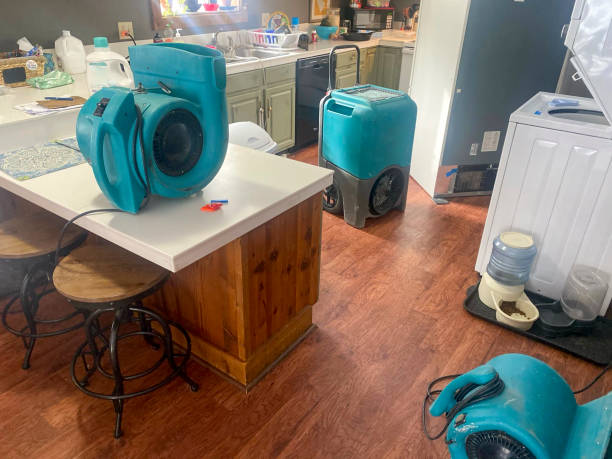 Best Carpet water damage restoration  in Gates Mills, OH