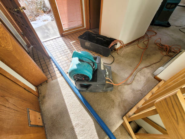 Best Flood restoration services  in Gates Mills, OH