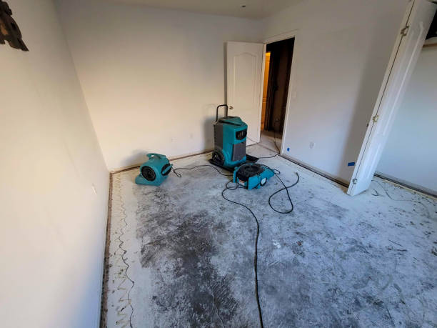 Best Water damage contractors near me  in Gates Mills, OH