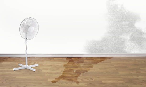  Gates Mills, OH Water damage restoration Pros
