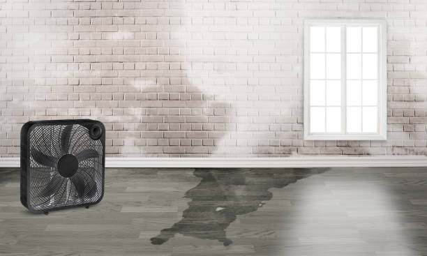 Best Carpet water damage restoration  in Gates Mills, OH