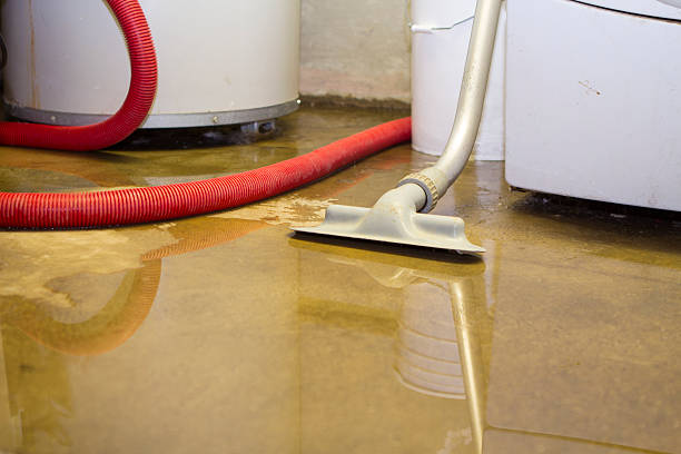 Best Water damage contractors near me  in Gates Mills, OH