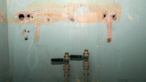 Best Flooded house restoration  in Gates Mills, OH
