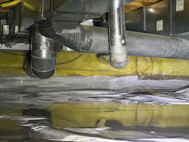 Best Professional water damage repair  in Gates Mills, OH