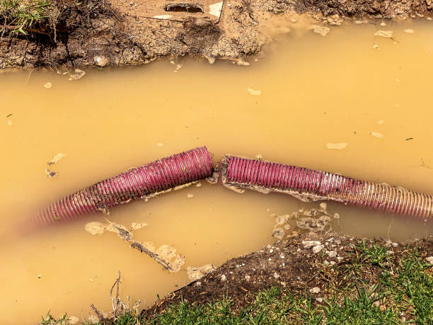 Best Water damage restoration near me  in Gates Mills, OH