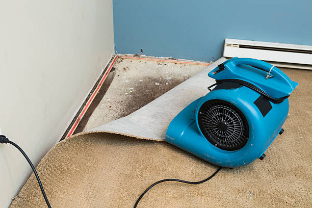 Carpet water damage restoration in Gates Mills, OH